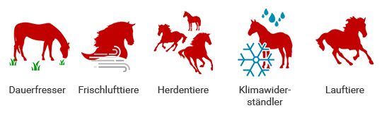 image-7720290-550x160_Pferde-Sind.png